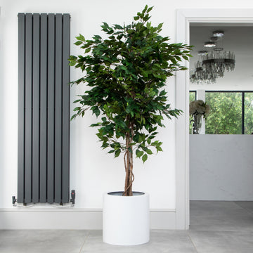 Artificial Ficus Tree in White Round Planter