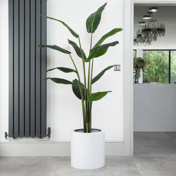 Artificial Bird Of Paradise Tree in White Round Planter