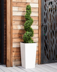 Artificial Buxus Spiral Topiary in White Planter