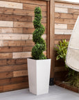 Artificial Buxus Spiral Topiary in White Planter