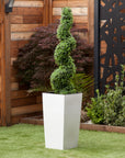 Artificial Buxus Spiral Topiary in White Planter