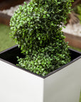 Artificial Buxus Spiral Topiary in White Planter