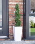 Artificial Buxus Spiral Topiary in White Planter